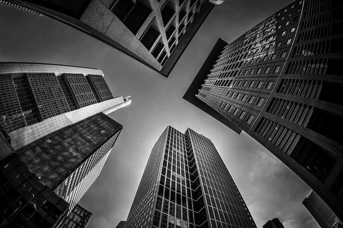 seo-freelancer-standort-frankfurt